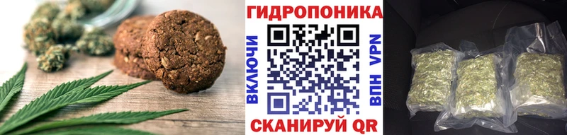 Canna-Cookies конопля mega tor shop формула Сланцы