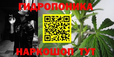 хмурый Новозыбков