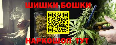 хмурый Новозыбков