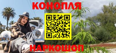 хмурый Новозыбков