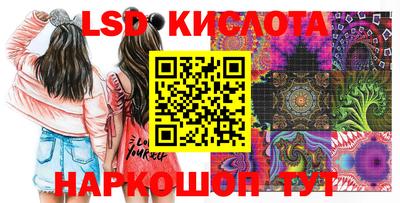 ПСИЛОЦИБИНОВЫЕ ГРИБЫ Новодвинск