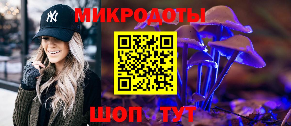 Сланцы  Псилоцибиновые грибы Magic Shrooms  цена   Вход с VPN 